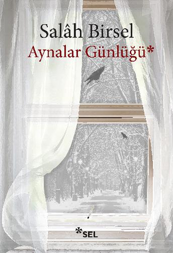 Aynalar Günlüğü