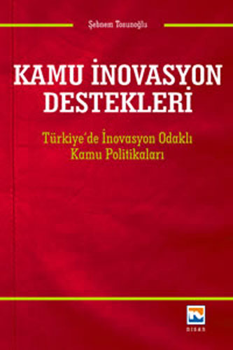 Kamu İnovasyon Destekleri 