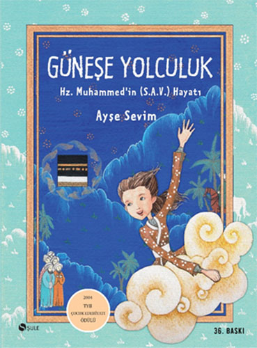 Güneşe Yolculuk