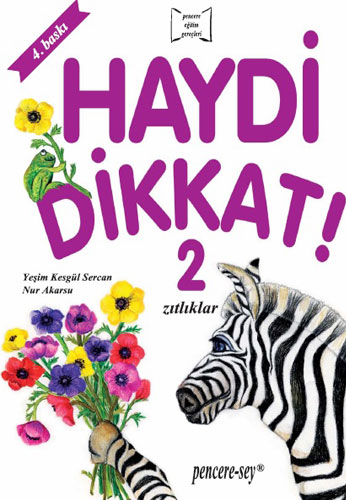 Haydi Dikkat 2