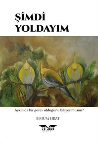 Şimdi Yoldayım