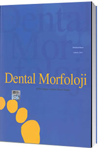 Dental Morfoloji