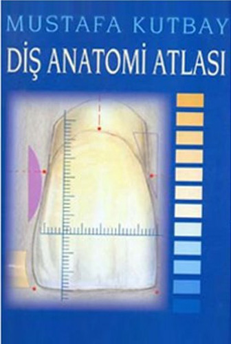 Diş Anatomisi Atlası