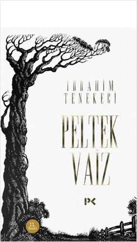 Peltek Vaiz