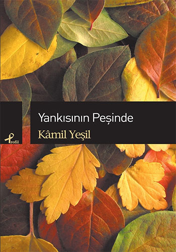 Yankısının Peşinde