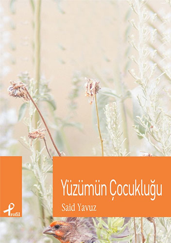 Yüzümün Çocukluğu