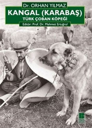 Kangal (Karabaş) Türk Çoban Köpeği