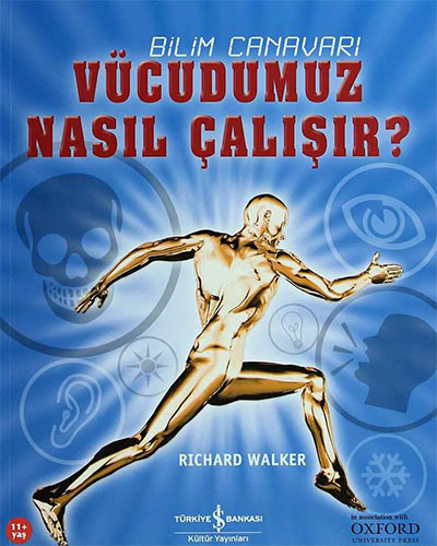 Vücudumuz Nasıl Çalışır?