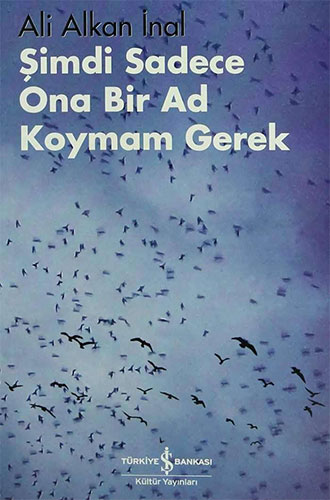 Şimdi Sadece Ona Bir Ad Koymam Gerek