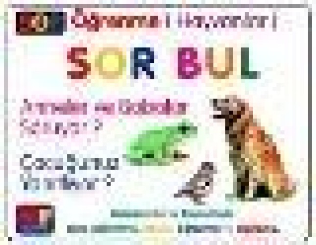 SOR BUL ZEKA GELİŞTİRME 9