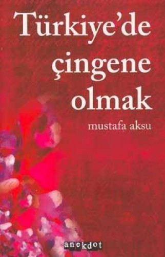 TÜRKİYEDE ÇİNGENE OLMAK