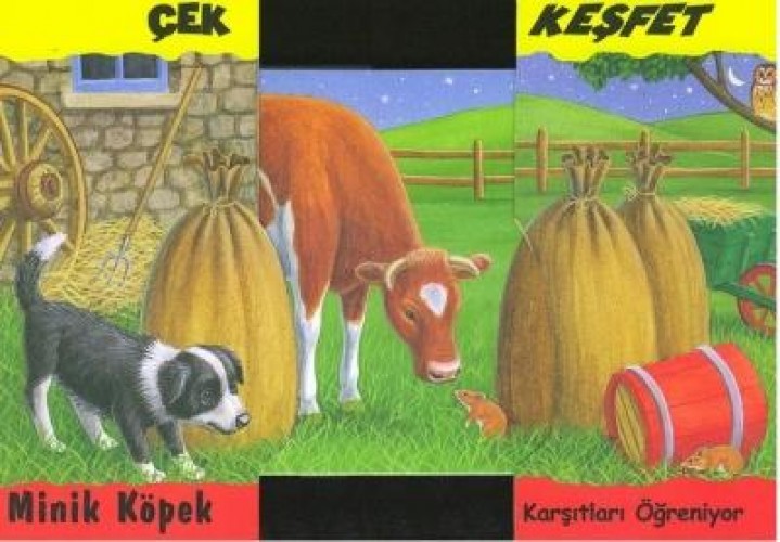 MİNİK KÖPEK KARŞITLARI ÖĞR.ÇEK.KEŞFET