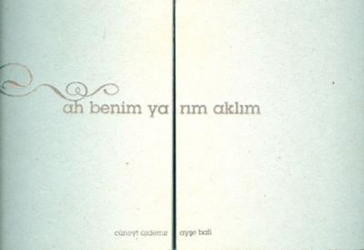 AH BENİM YARIM AKLIM