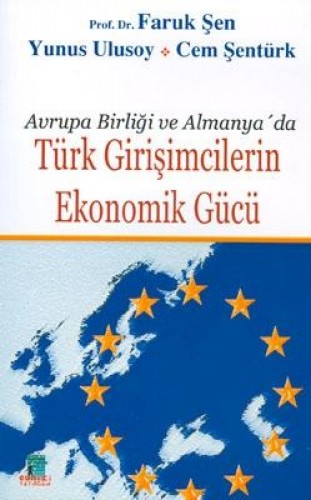 TÜRK GİRİŞİMCİLERİN EKONOMİK GÜCÜ