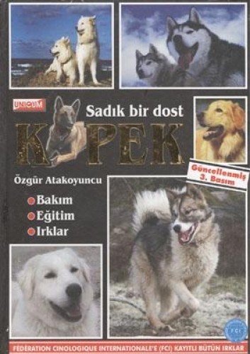 SADIK BİR DOST KÖPEK