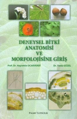 Deneysel Bitki Anatomisi ve Morfolojisine Giriş