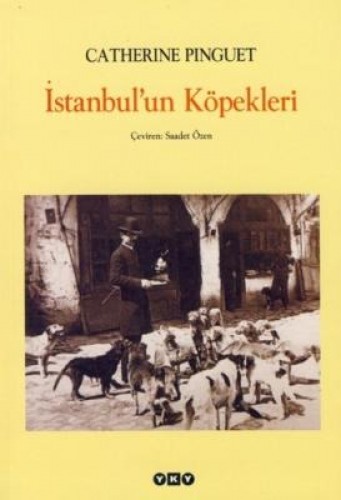 İSTANBULUN KÖPEKLERİ