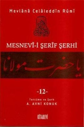 Mesnevi-i Şerif Şerhi Cilt: 12