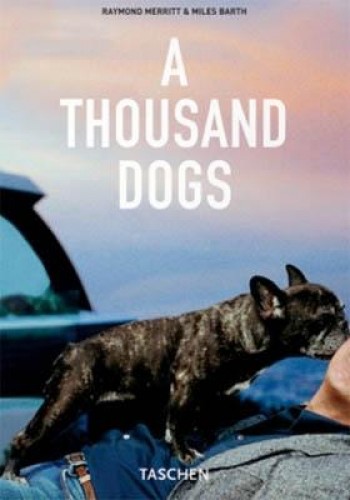 A THOUSAND DOGS 25