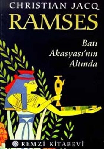 RAMSES 5