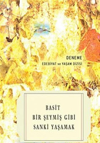 BASİT BİR ŞEYMİŞ GİBİ SANKİYAŞAMAK