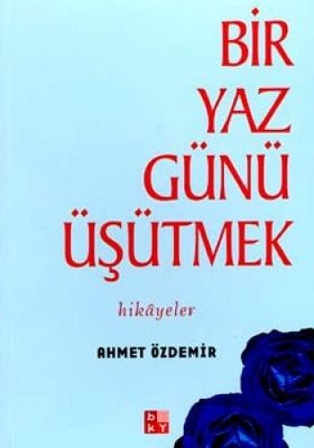 BİR YAZ GÜNÜ ÜŞÜTMEK