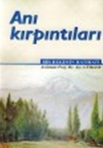 ANI KIRPINTILARI