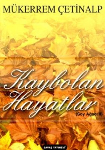 KAYBOLAN HAYATLAR