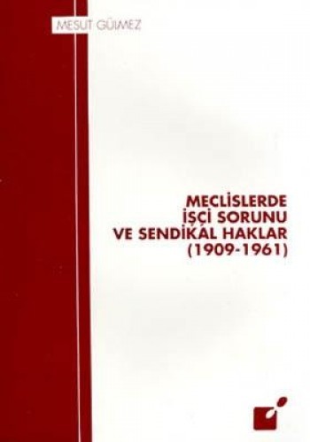 MECLİSLERDE İŞÇİ SORUNLARI