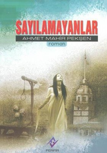 SAYILAMAYANLAR