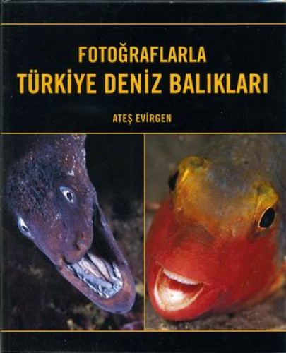 FOTOĞRAFLARLA TÜRKİYE DENİZ BALIKLARI