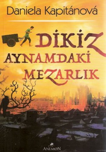 DİKİZ AYNAMDAKİ MEZARLIK