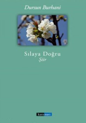 SILAYA DOĞRU