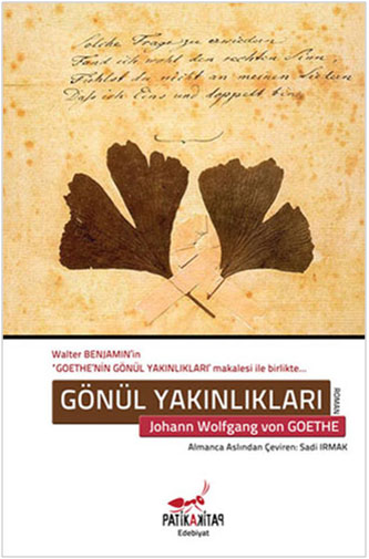 GÖNÜL YAKINLIKLARI