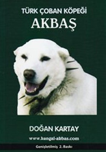 TÜRK ÇOBAN KÖPEĞİ AKBAŞ