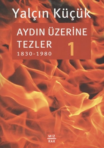 AYDIN ÜZERİNE TEZLER 1