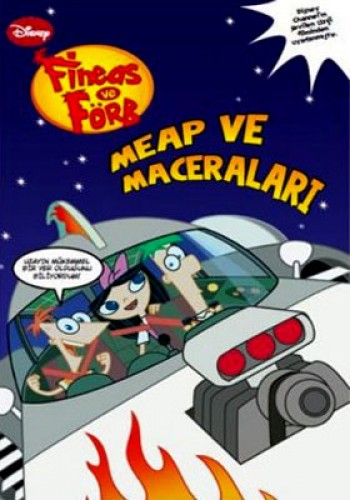 FINEAS VE FÖRB MEAP VE MACERALARI