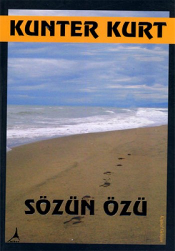 Sözün Özü