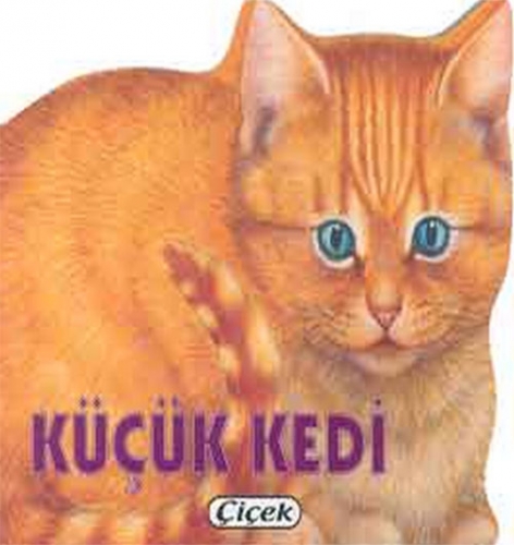 KÜÇÜK KEDİ