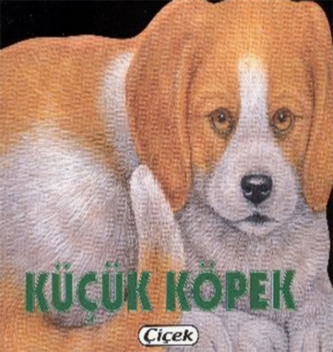 KÜÇÜK KÖPEK