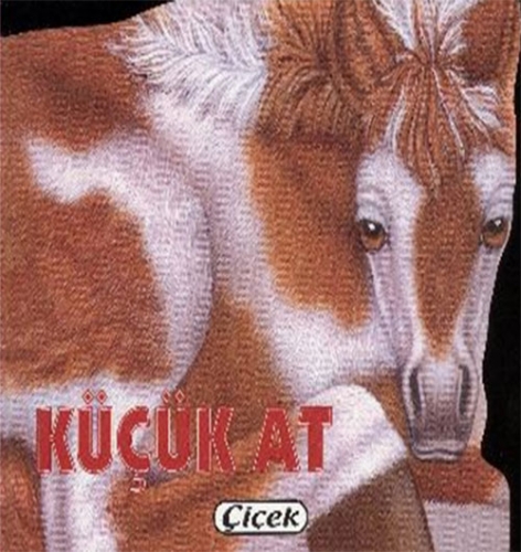 KÜÇÜK AT