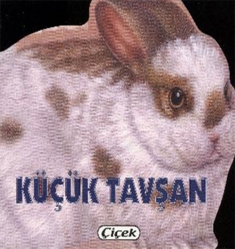 KÜÇÜK TAVŞAN