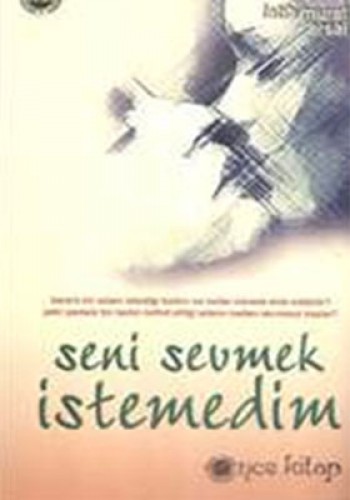 SENİ SEVMEK İSTEMEDİM