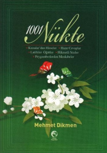 1001 NÜKTE