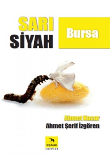 SARI SİYAH