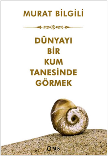 DÜNYAYI BİR KUM TANESİNDE GÖRMEK