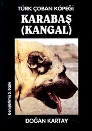 TÜRK ÇOBAN KÖPEĞİ KARABAŞ(KANGAL)D.KARTAY