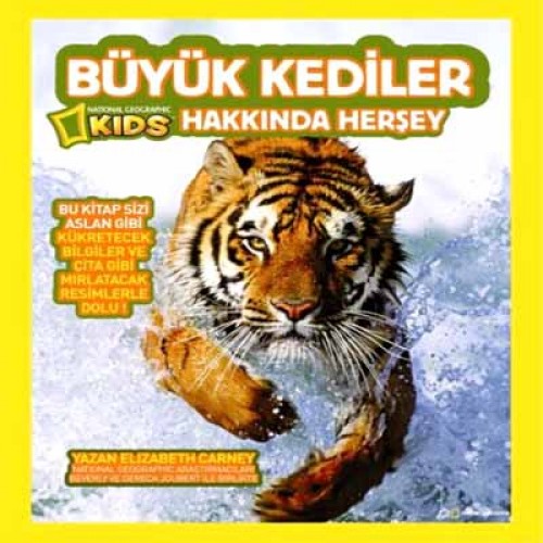 BÜYÜK KEDİLER HAKKINDA HERŞEY