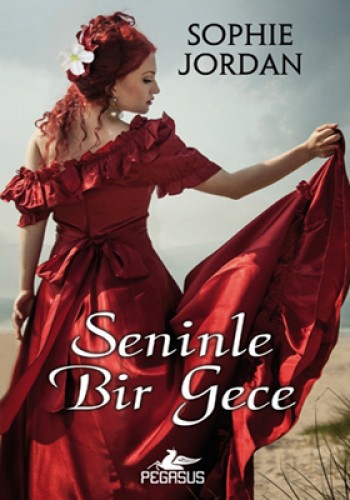 SENİNLE BİR GECE