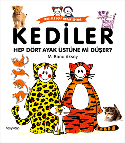 KEDİLER HEP DÖRT AYAK ÜSTÜNE Mİ DÜ.